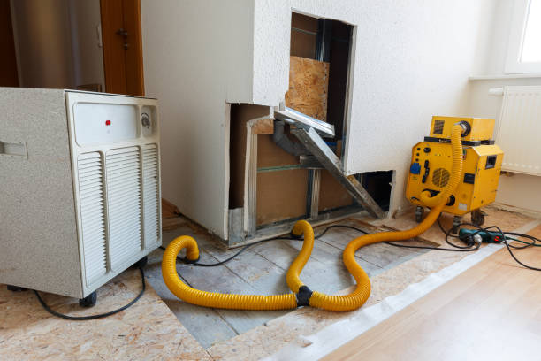 Environmental Consulting for Mold Prevention in Three Forks, MT